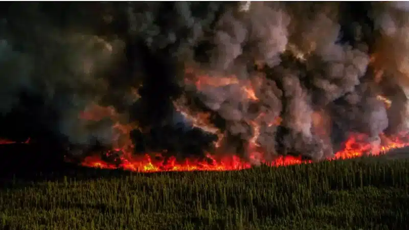 Los incendios forestales arrasan parte de Canadá