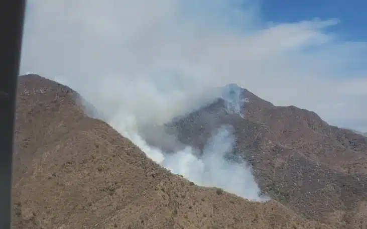 Jocotepec: Brigadistas de Tlajomulco combaten incendio forestal